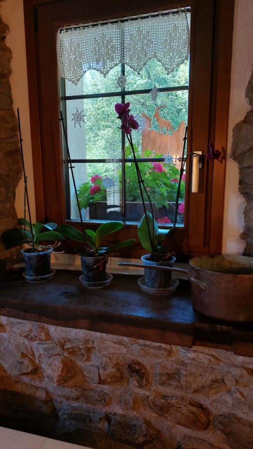 Bed and Breakfast Beb Luca76 Avise Экстерьер фото