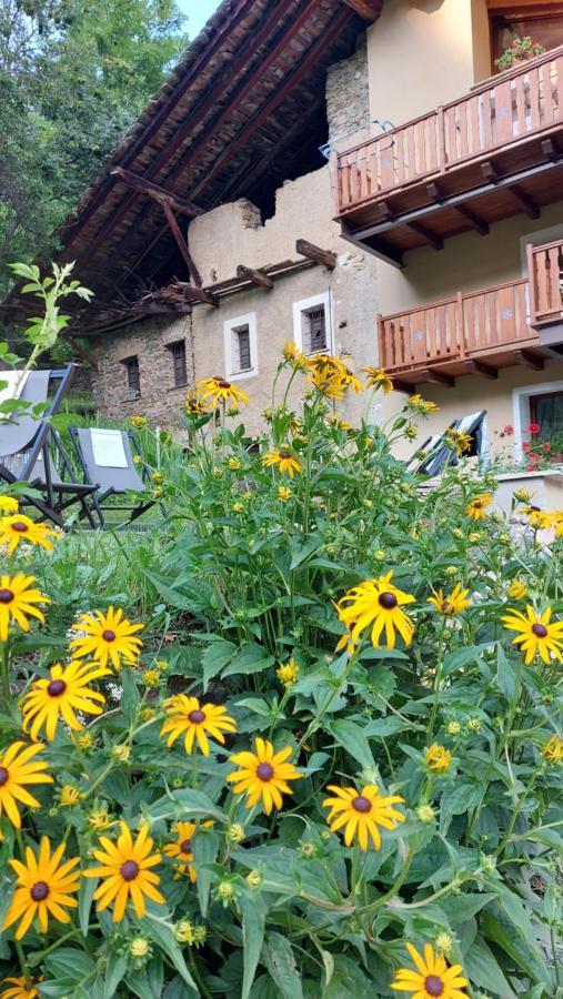 Bed and Breakfast Beb Luca76 Avise Экстерьер фото