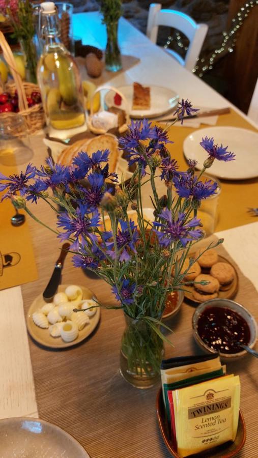 Bed and Breakfast Beb Luca76 Avise Экстерьер фото